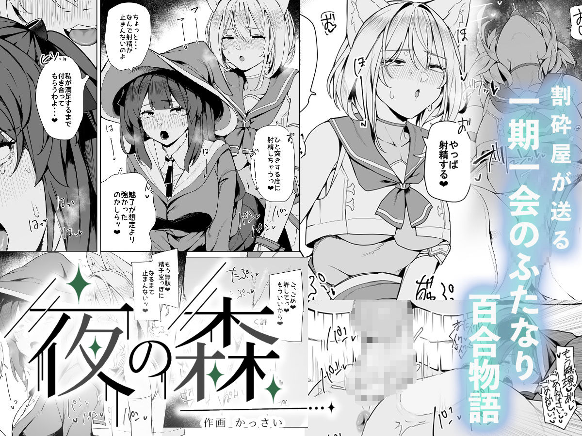 白狼剣士ハティちゃんのえっちな冒険の書 6枚目