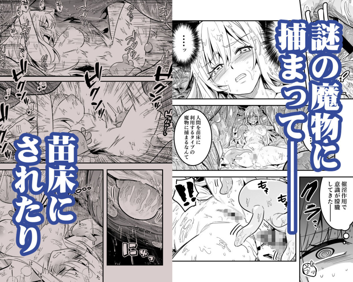冒険者ちゃんとえっちな冒険5 2枚目