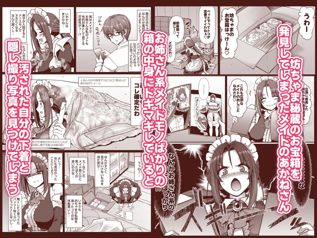 ポンコツ独身メイドあかねさん(28) 2枚目