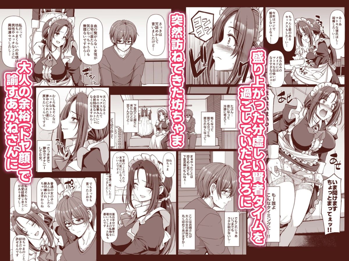 ポンコツ独身メイドあかねさん(28) 5枚目